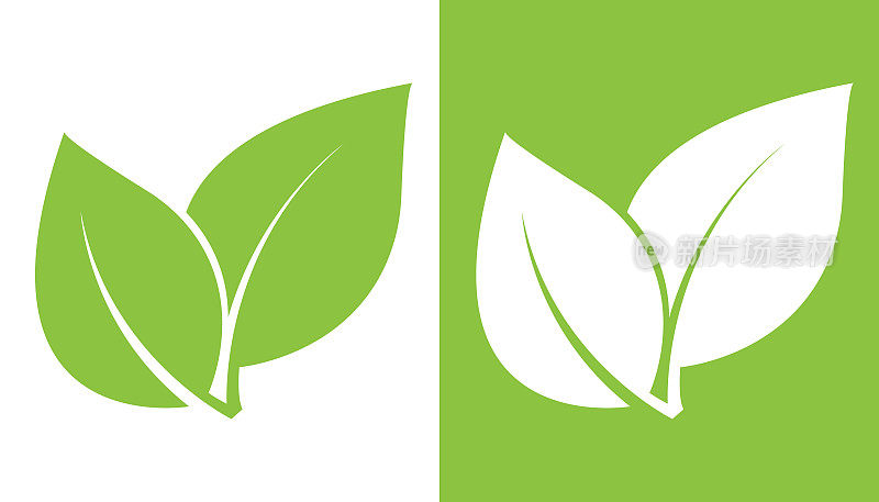 Green leaf logo design template. Nature herbal organic leaf.